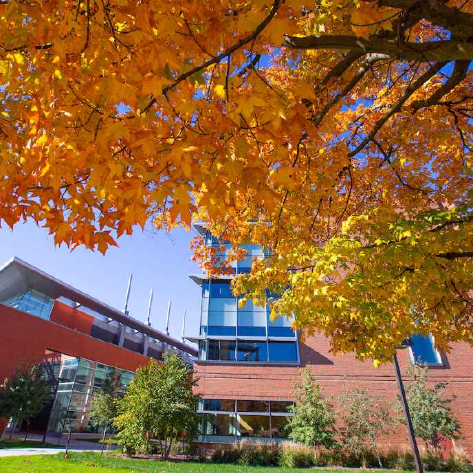 Iowa State University campus buildings in the fall.